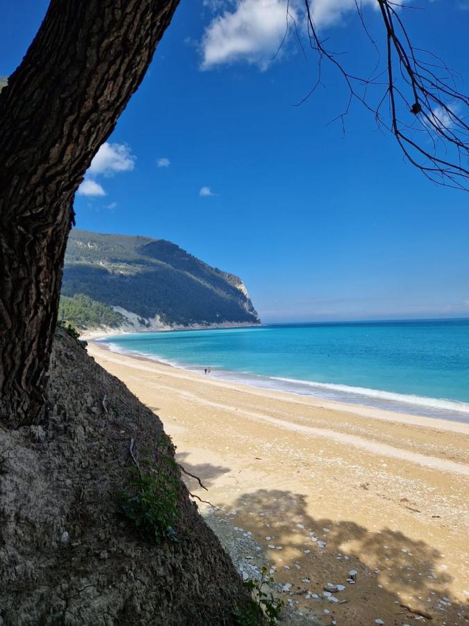 Appartamento L'Azalea - A Due Passi Da Numana Con Grande Terrazzo E Piscina Condominiale Stagionale Sirolo Luaran gambar