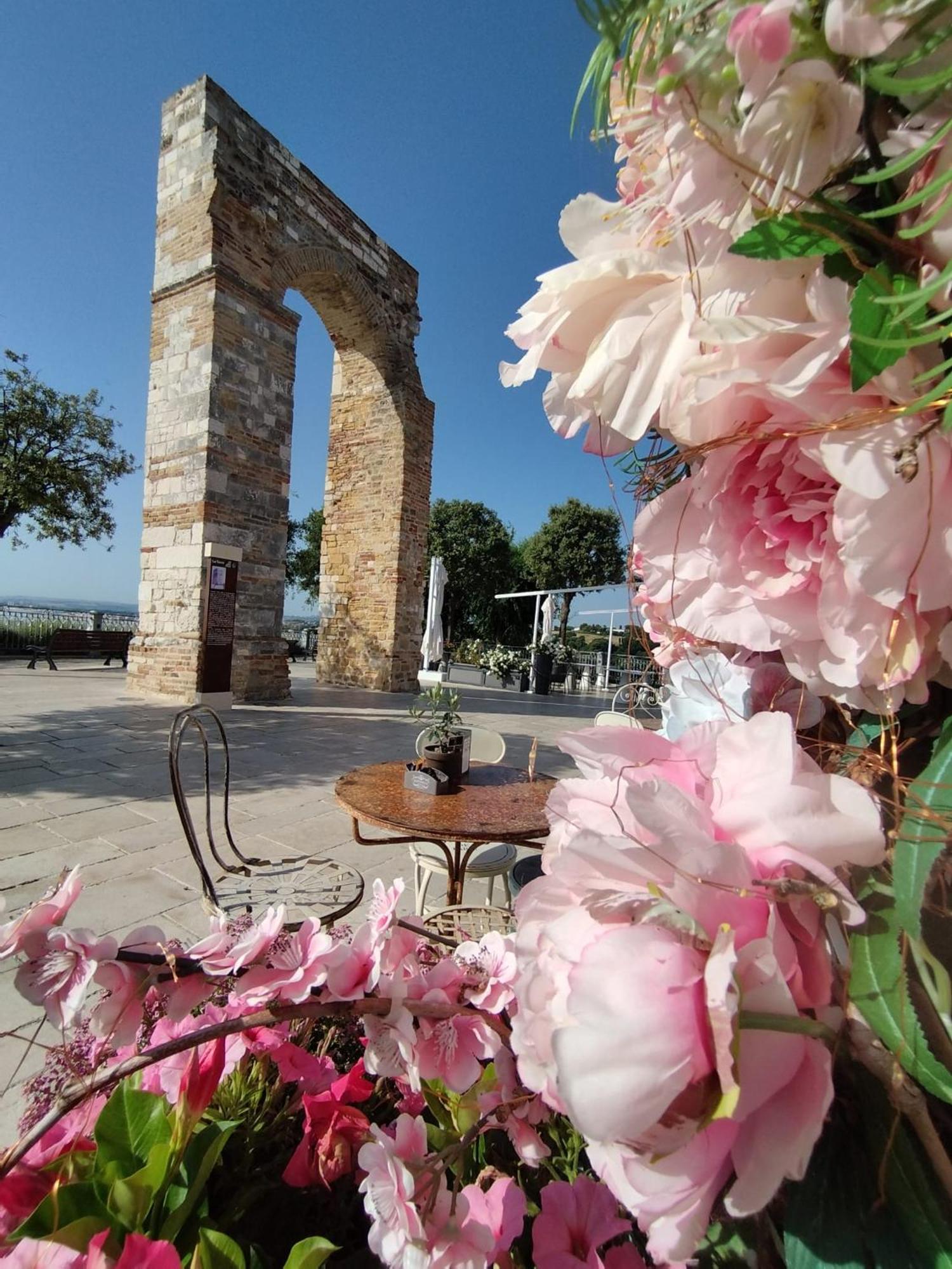 Appartamento L'Azalea - A Due Passi Da Numana Con Grande Terrazzo E Piscina Condominiale Stagionale Sirolo Luaran gambar